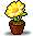 开着黄色花朵的花盆