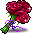 玫瑰花束