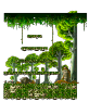 修行者森林3