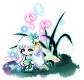 星空兰花